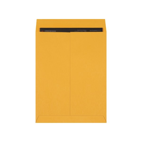 Bsc Preferred 14 x 18'' Kraft Jumbo Envelopes, 100PK BUY00018311 - main